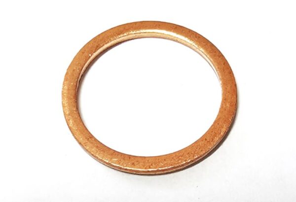 N300199 - GASKET RING FOR ANODE